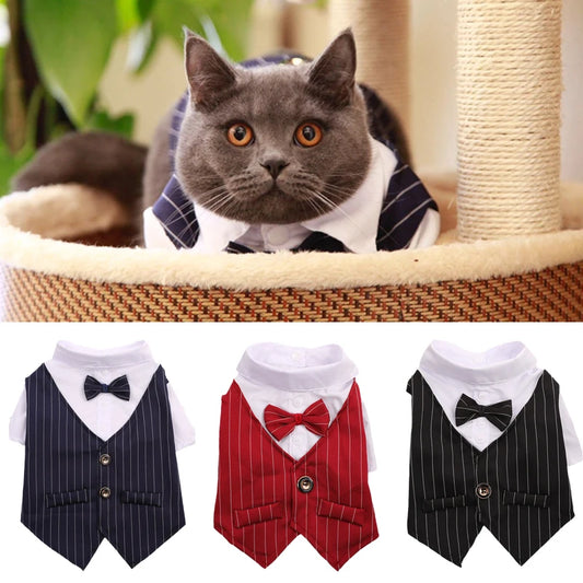 Cat Dog Wedding Birthday Halloween Party Suit