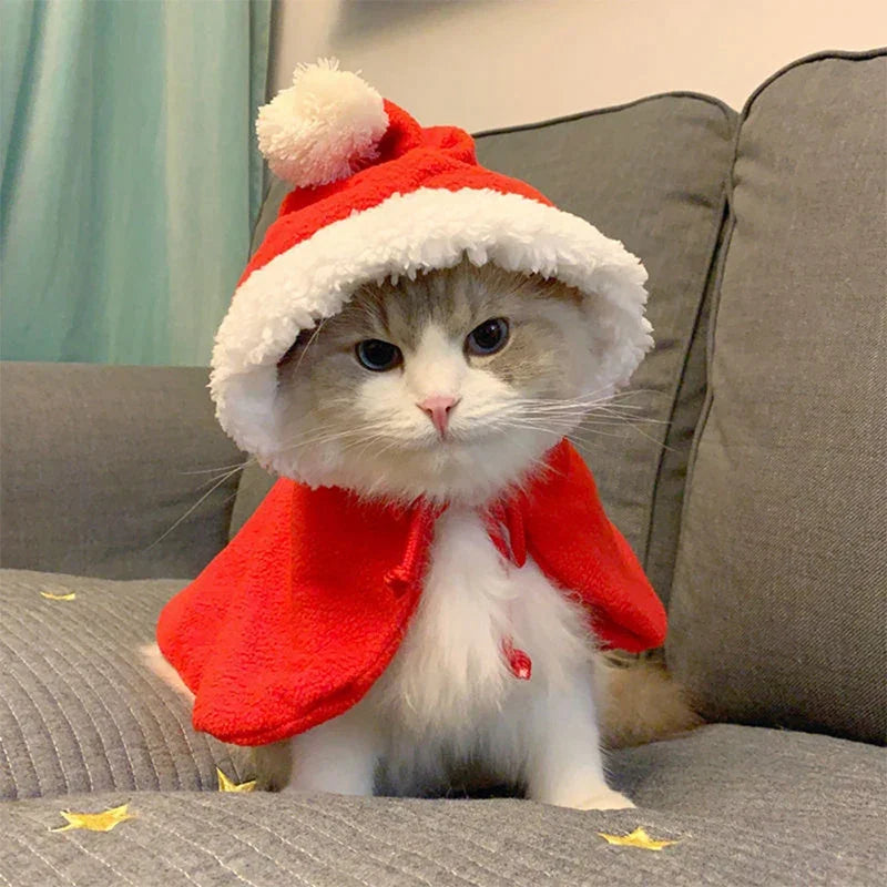 Cat Dog Xmas Costume