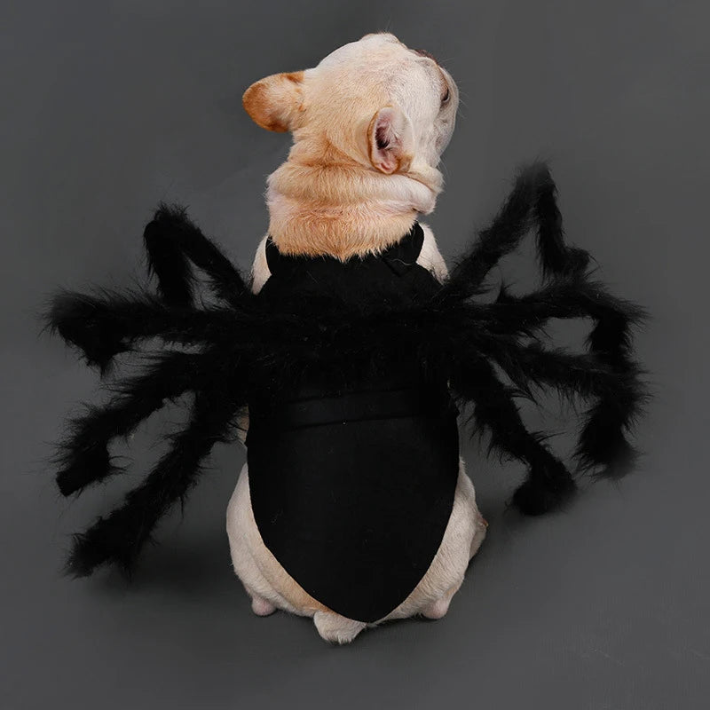 Cat Dog Spider Costume Halloween