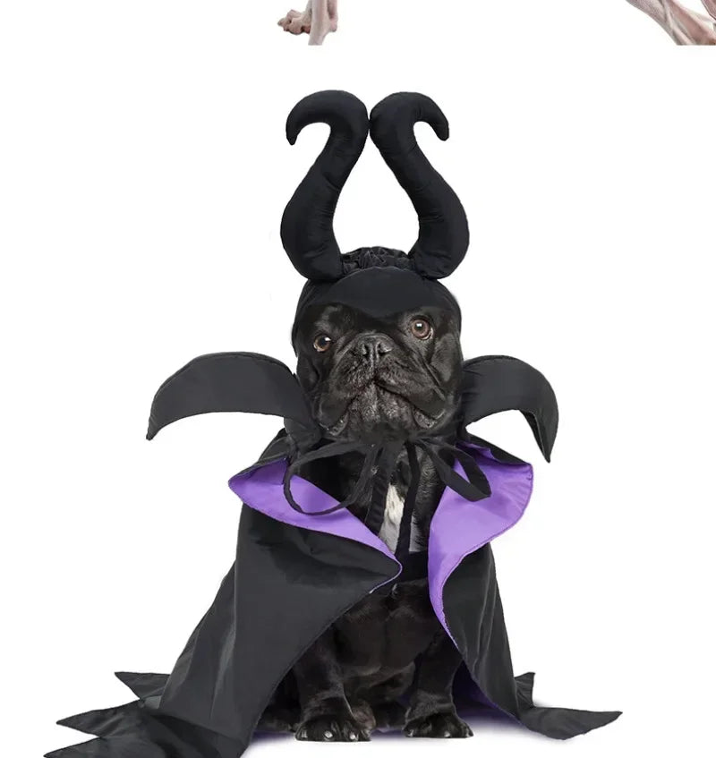 Cat Dog Maleficent Halloween Costume