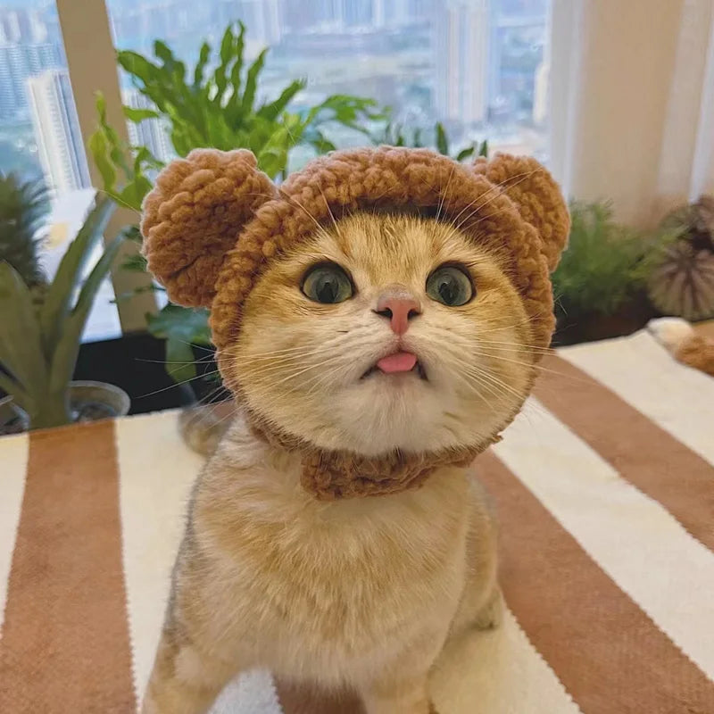 Cat Dog Cozy Bear Hat