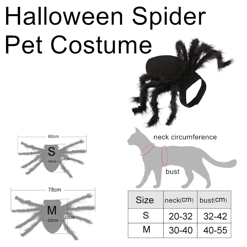 Cat Dog Spider Costume Halloween