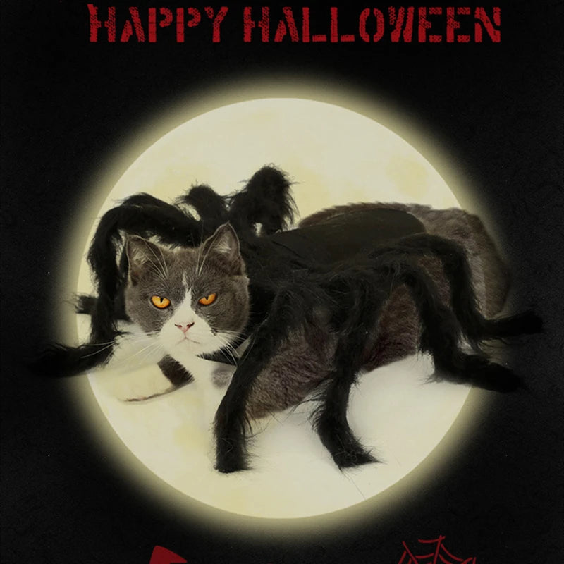 Cat Dog Spider Costume Halloween