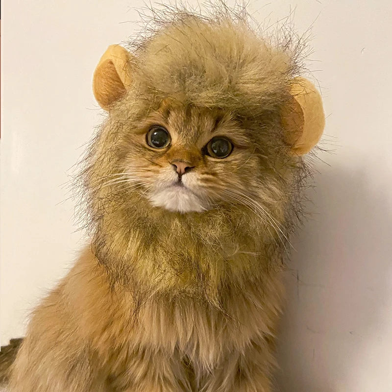 Cat Dog Lion Mane Costume