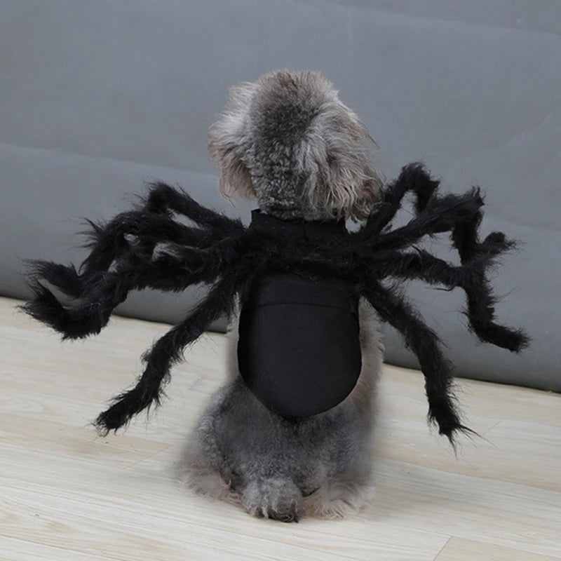 Cat Dog Spider Costume Halloween