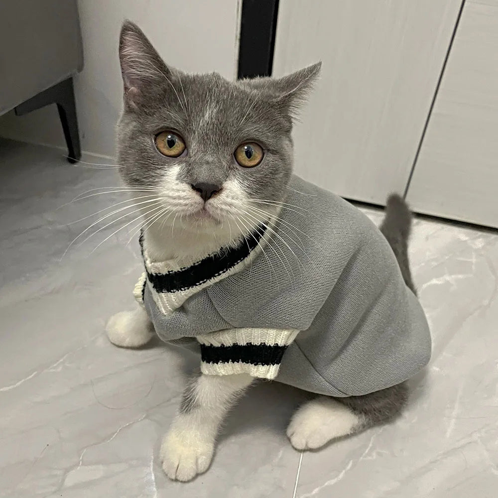 Cat Dog Winter Sweater Costume