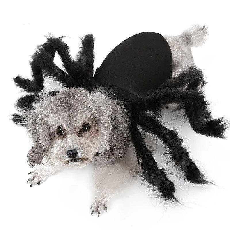 Cat Dog Spider Costume Halloween