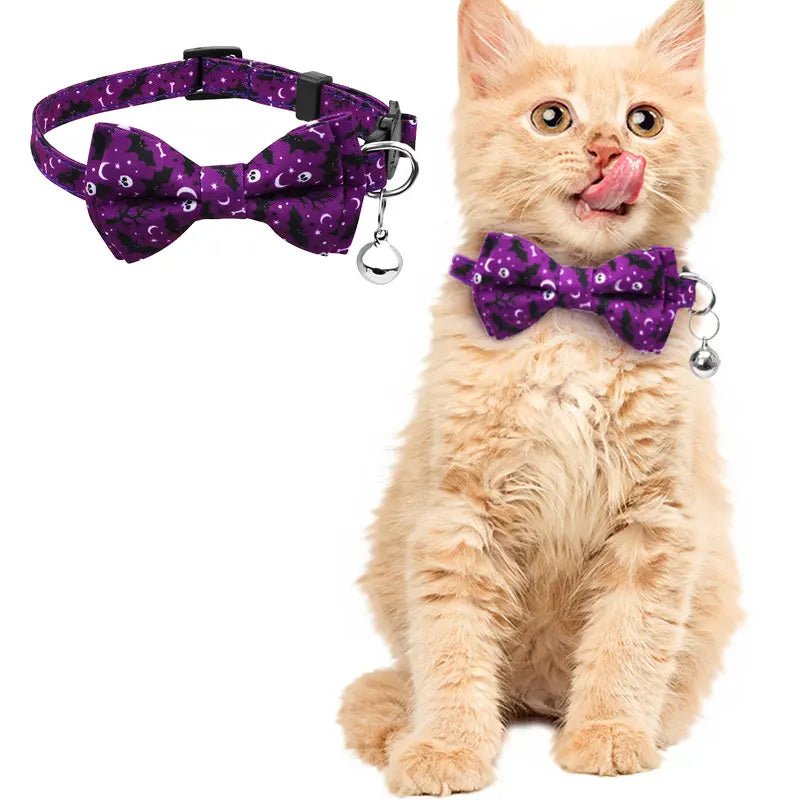 Cat Collar Halloween