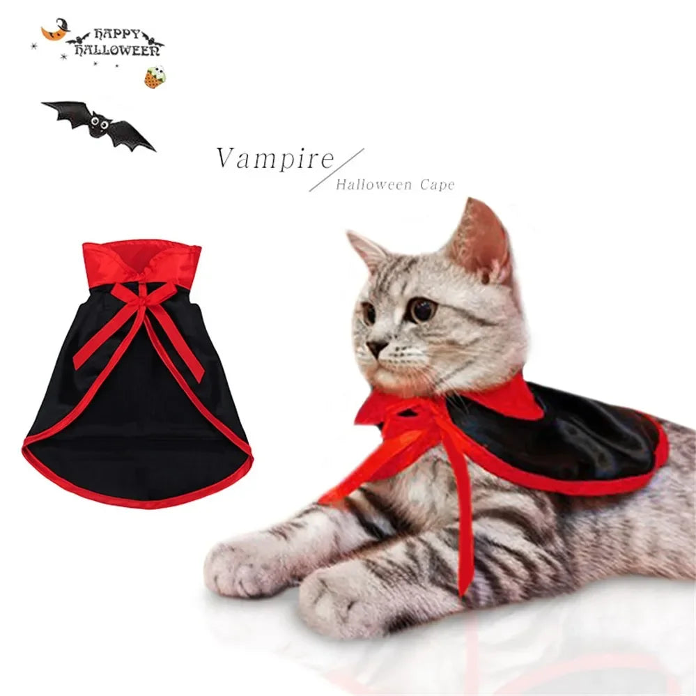 Cat Dog Vampire Halloween