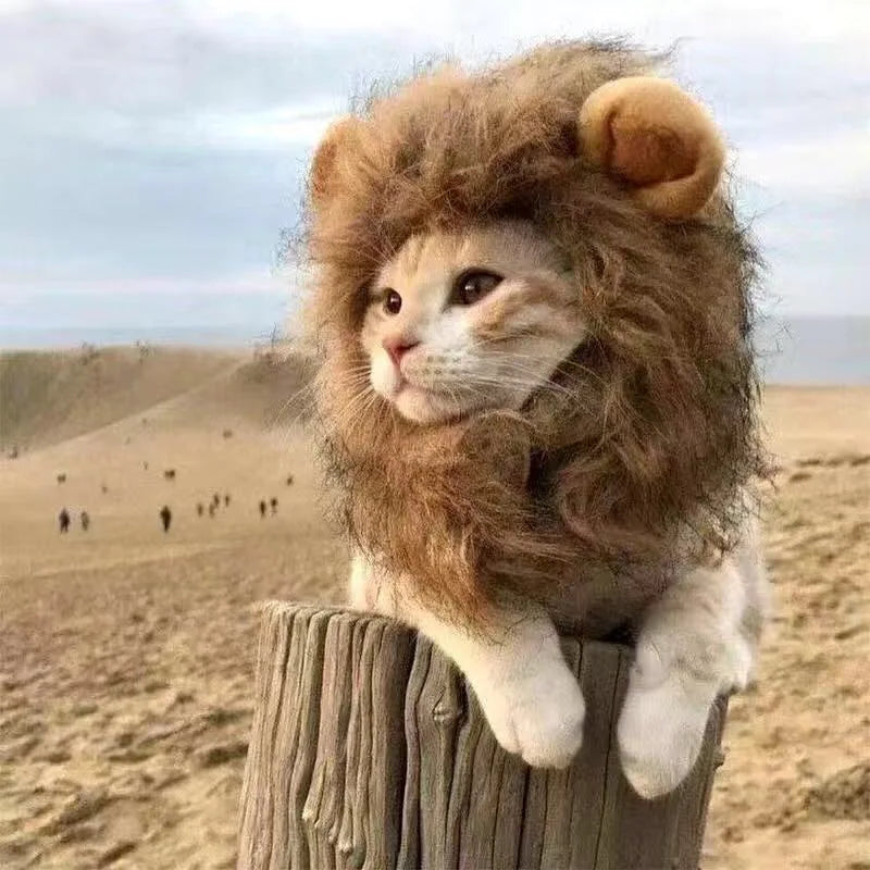 Cat Dog Lion Mane Costume