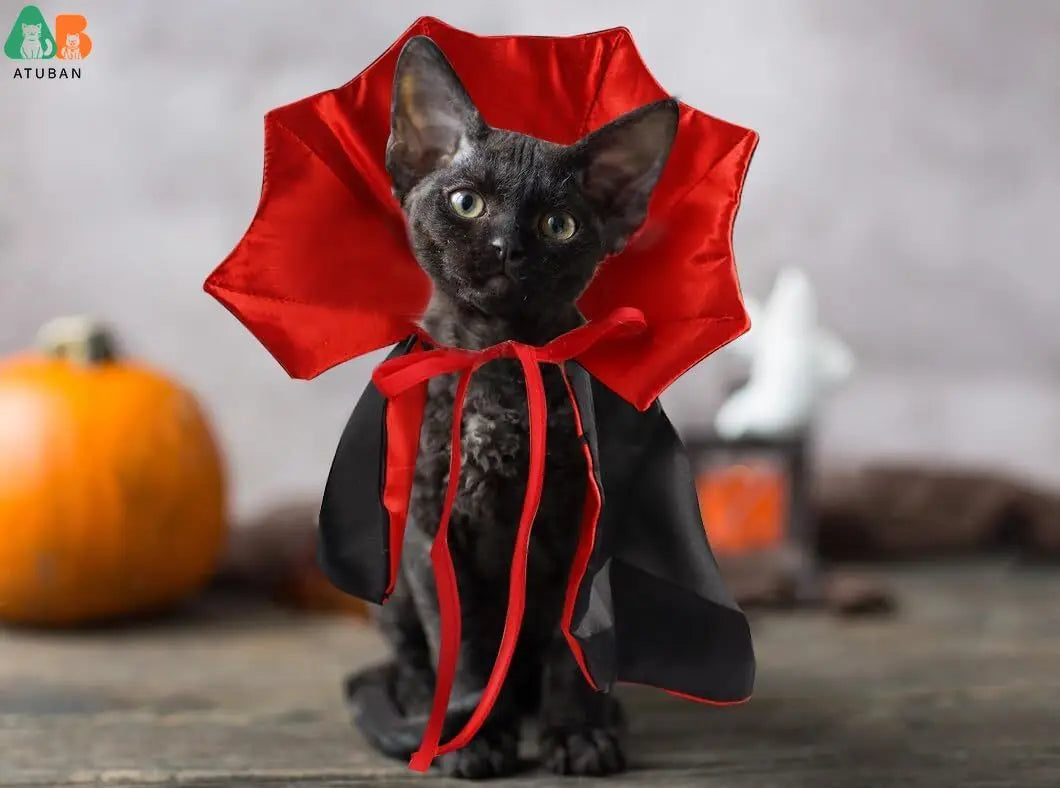 Cat Dog vampire Costume Halloween Cap & Hat