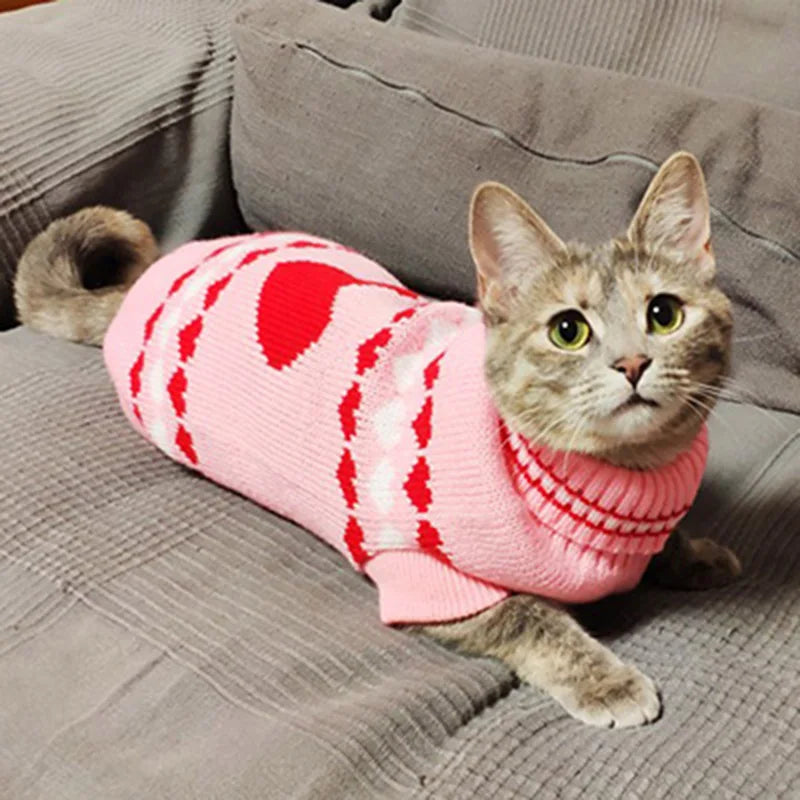 Cat Dog Winter Sweaters