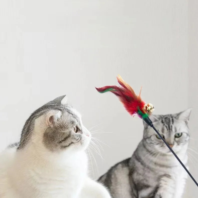 Cat Teaser Wand Feather Toy