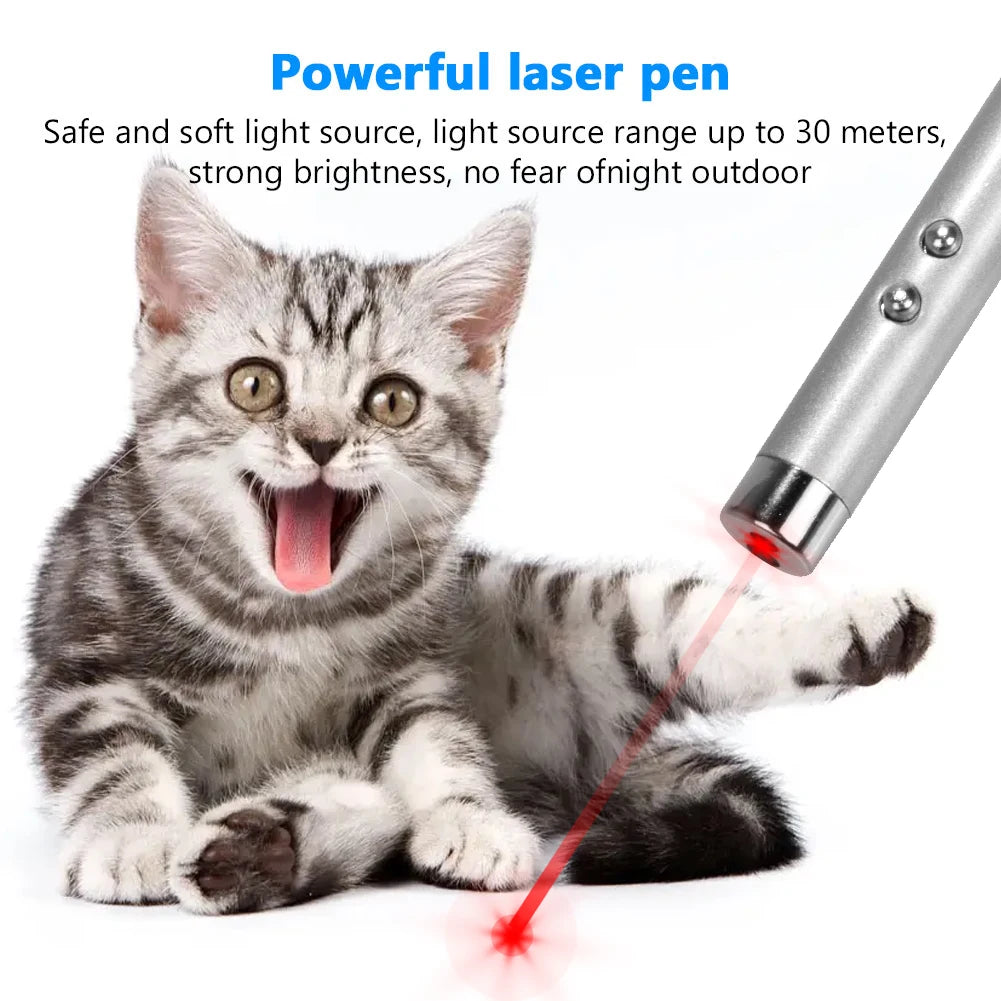 Laser Cat & Dog LED Pointer








cat