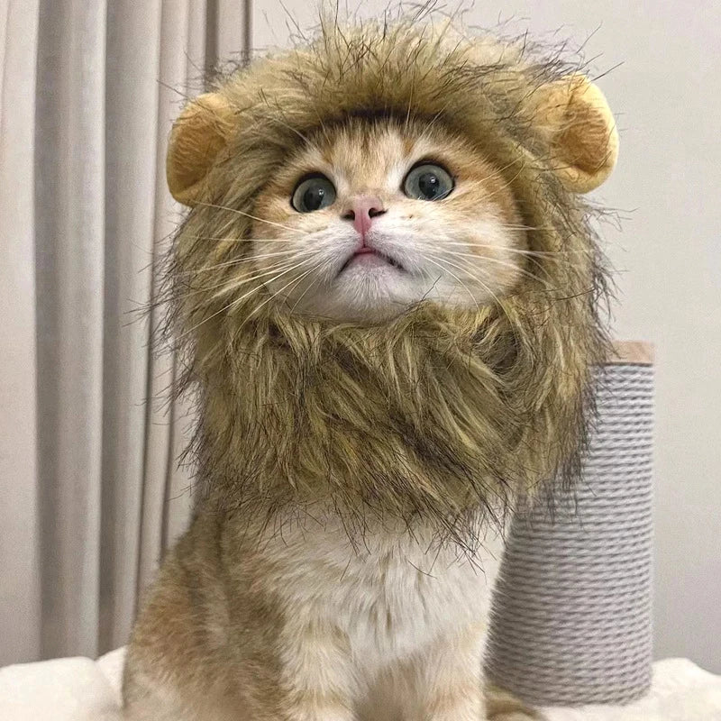 Cat Lion Mane Costume