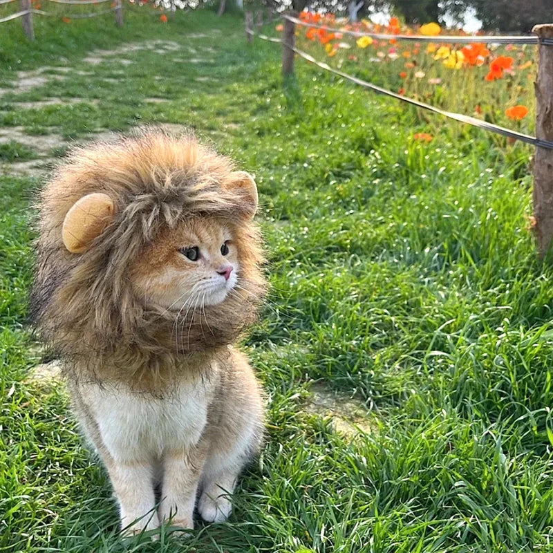 Cat Lion Mane Costume