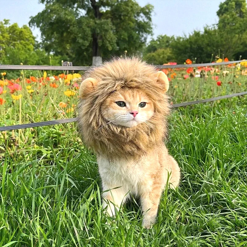 Cat Lion Mane Costume