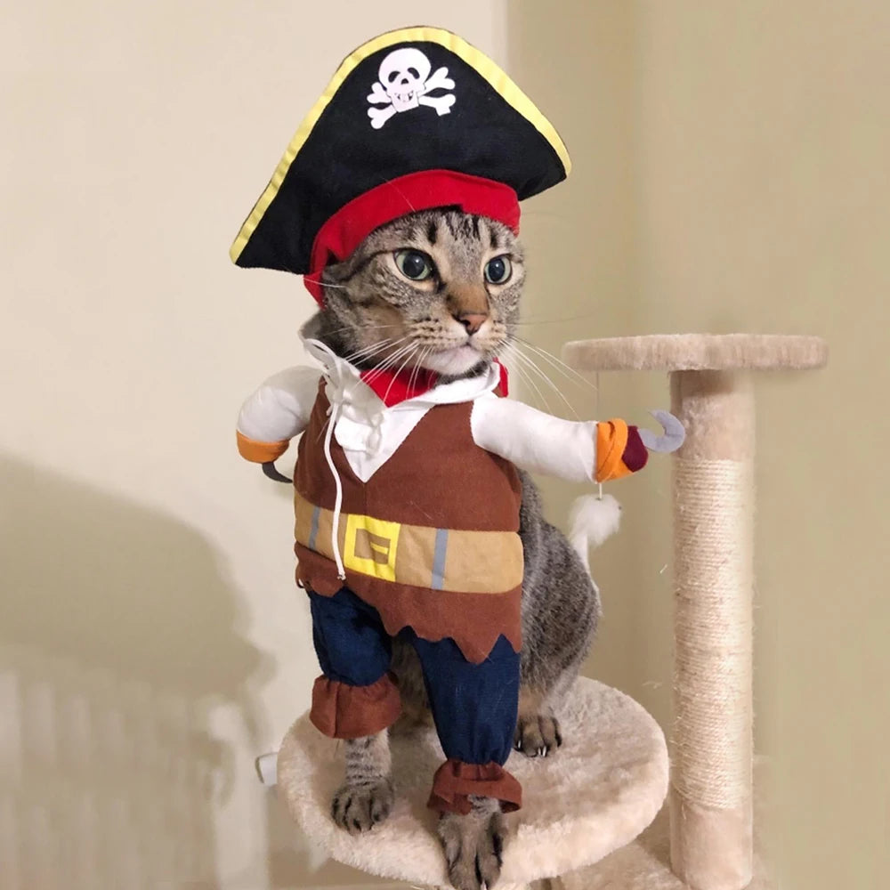 Cat Dog Halloween Pirate Costume