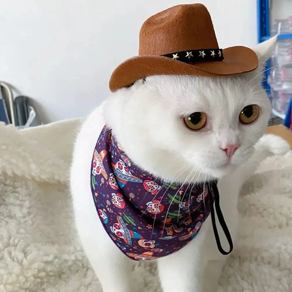 Cat Cowboy Hat Puppy