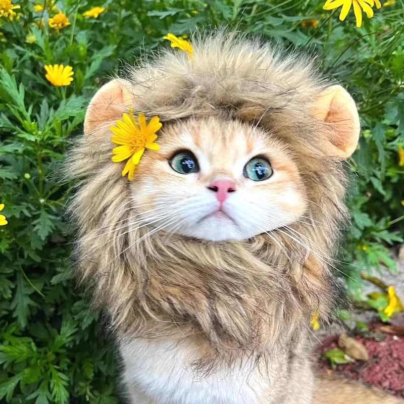 Cat Lion Mane Costume