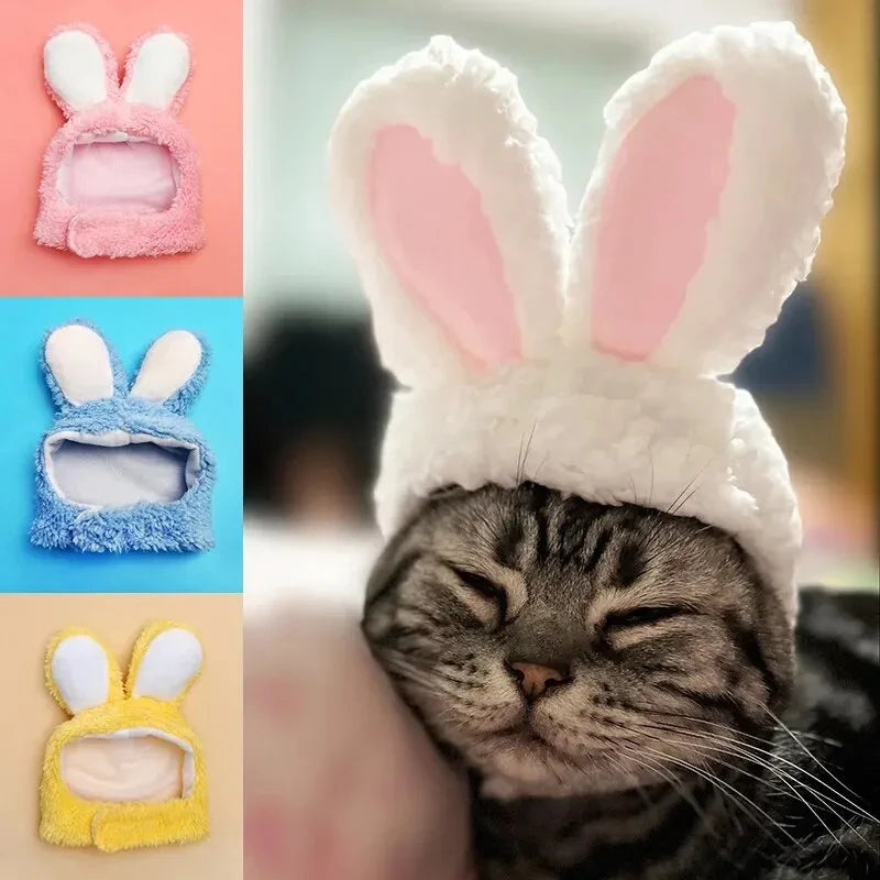 Cat Dog Rabbit Hat