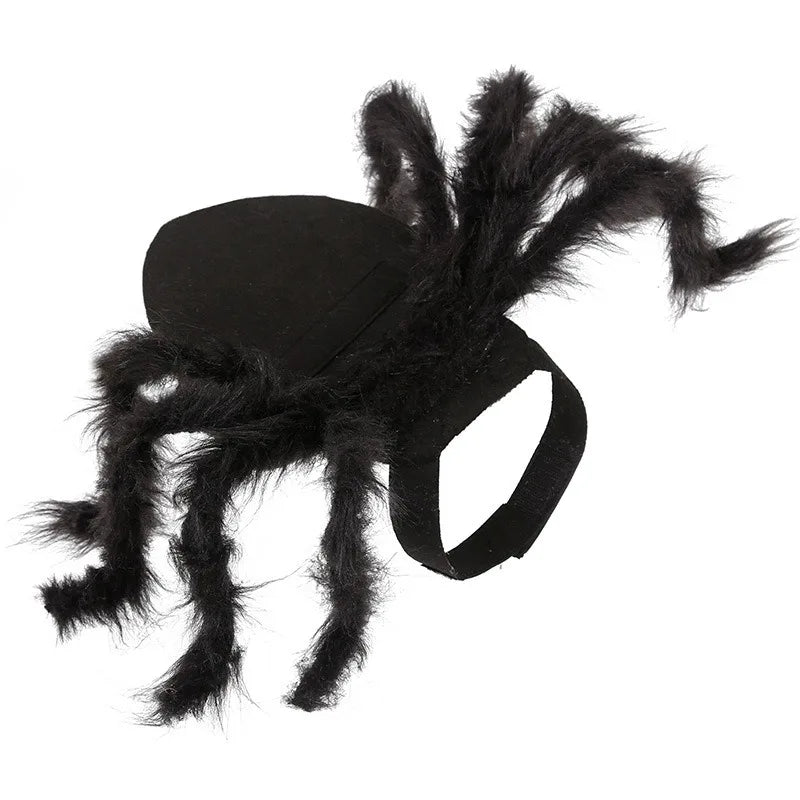 Cat Dog Spider Costume Halloween