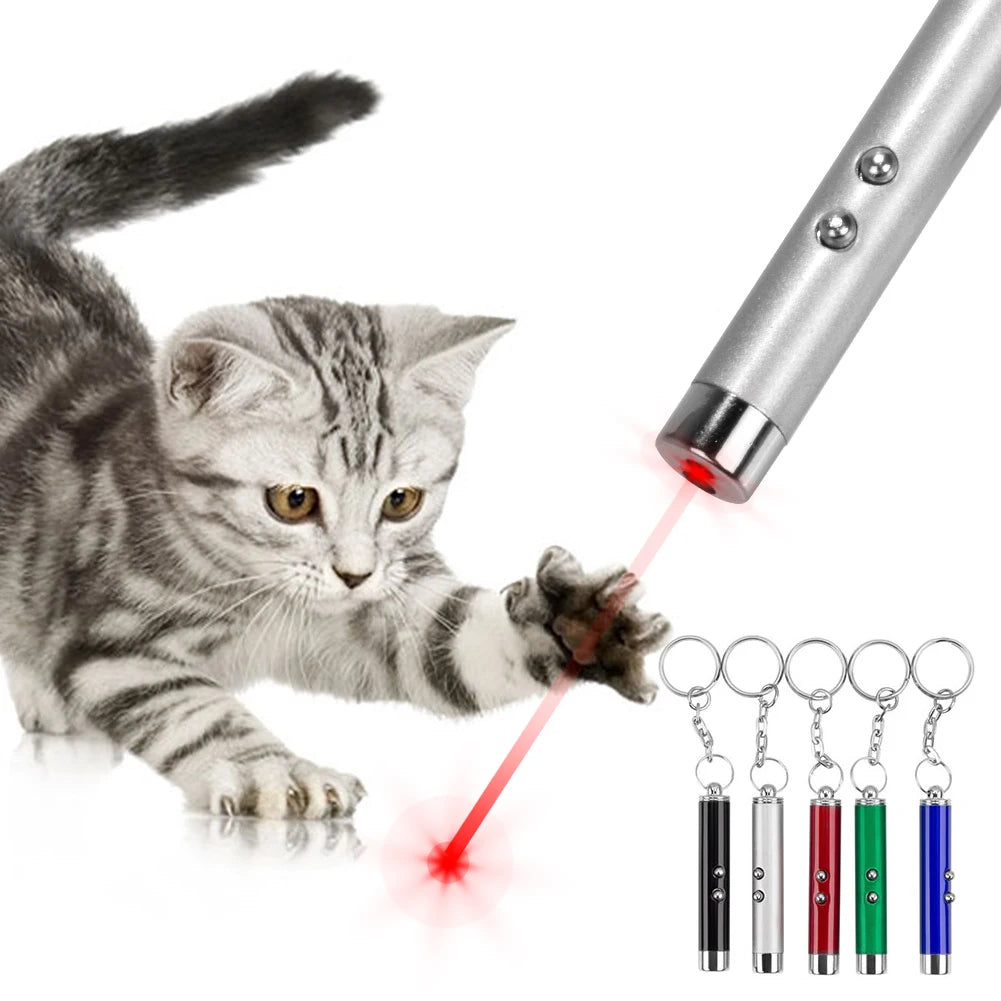 Laser Cat & Dog LED Pointer








cat