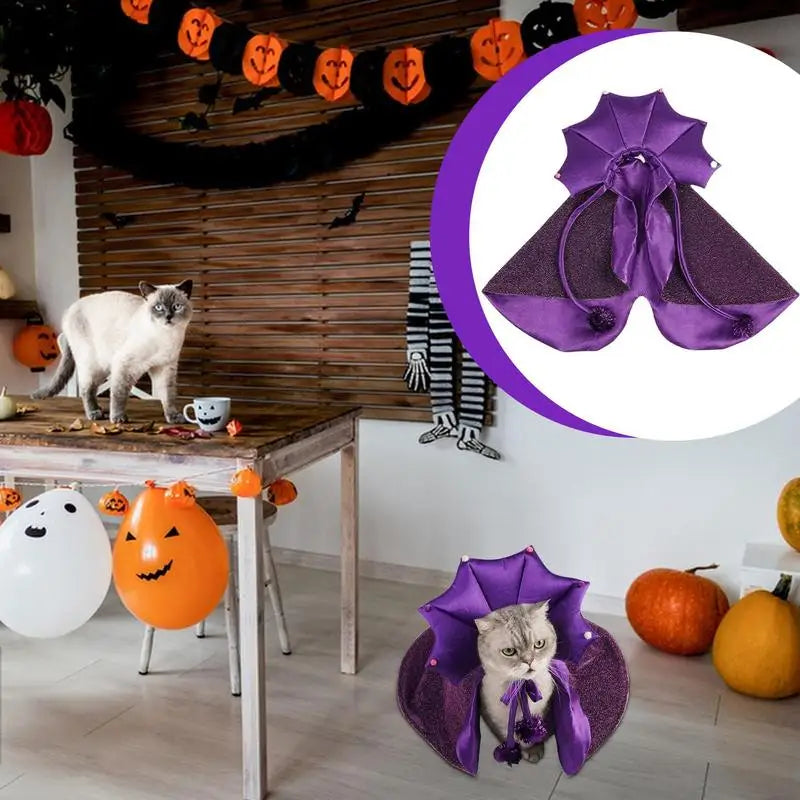 Cat Dog Vampire Cape & Witch Hat