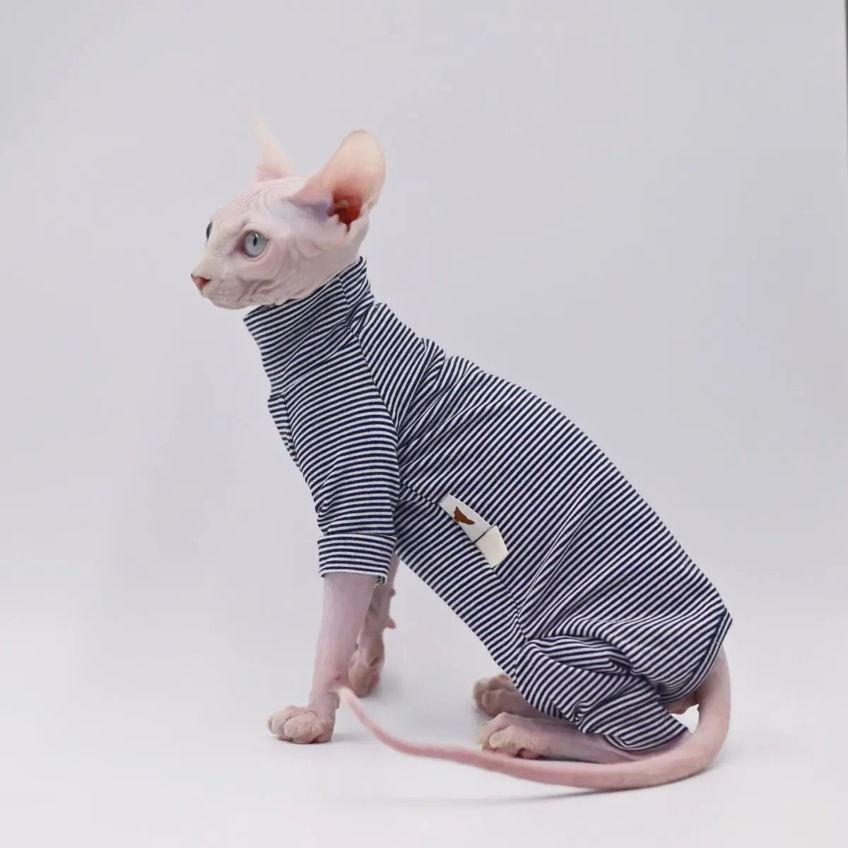 Sphynx Cat Winter Clothes