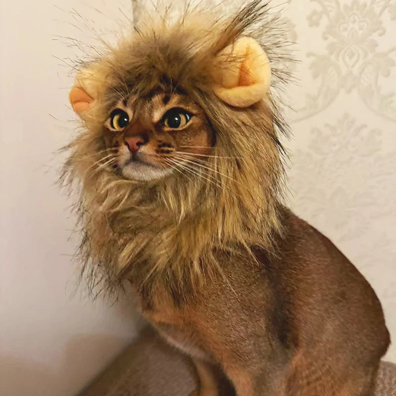 Cat Dog Lion Mane Costume