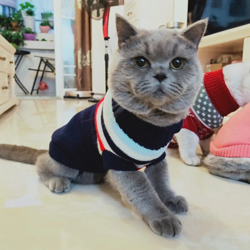 Cat Dog Winter Sweaters