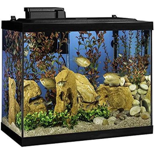 20 Gallon Fish Tank Kit LED Lighting