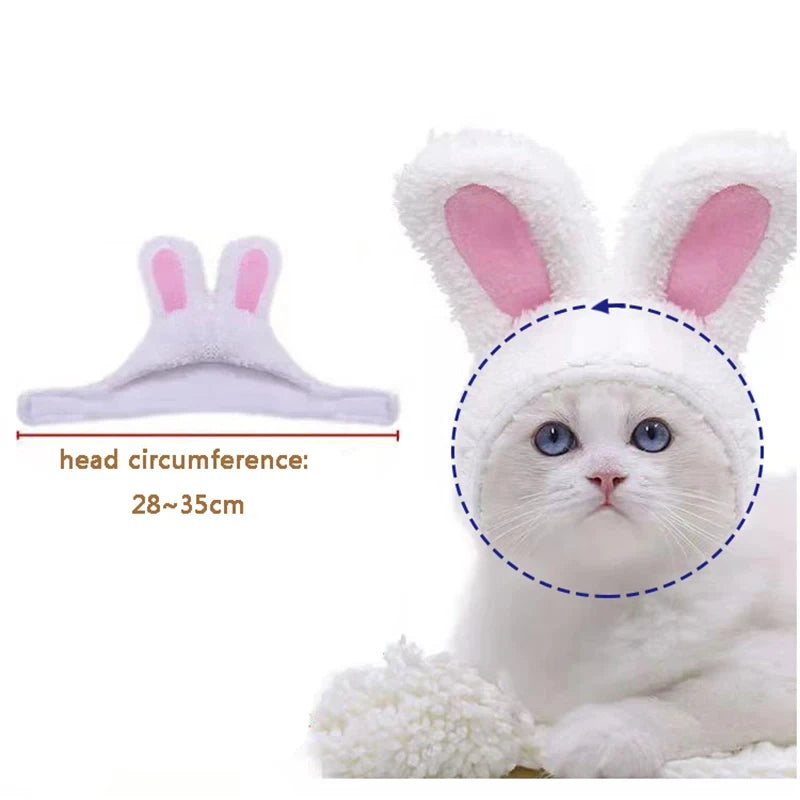 Cat Dog Rabbit Hat