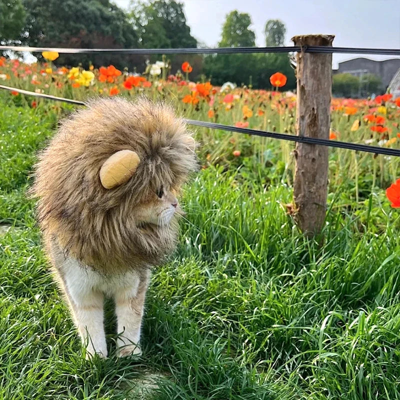 Cat Lion Mane Costume