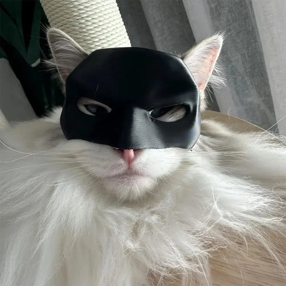 Cat Batman Mask Costume