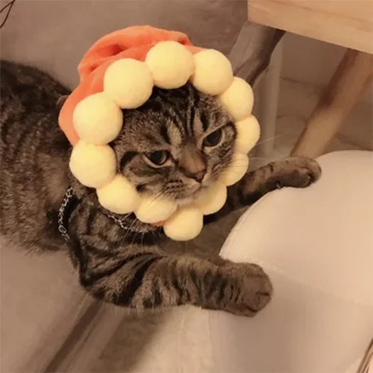 Puppy Cat Hat Party Costume