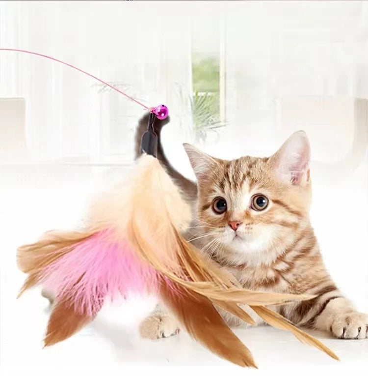 Cat Teaser Wand Feather Toy