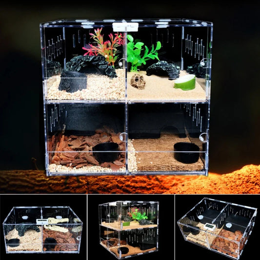 Reptile Shelter Terrarium