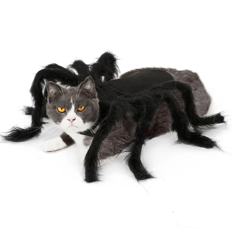 Cat Dog Spider Costume Halloween