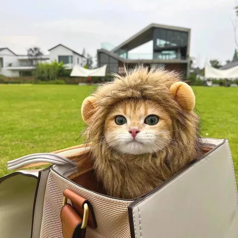 Cat Lion Mane Costume