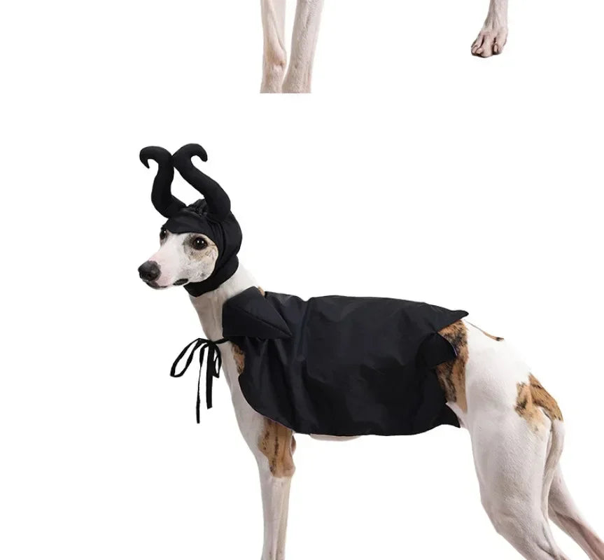 Cat Dog Maleficent Halloween Costume