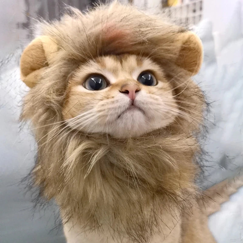 Cat Lion Mane Costume