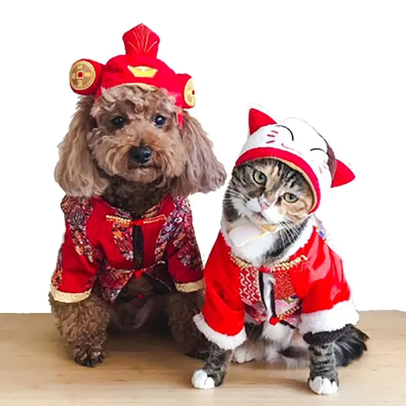 Puppy Cat Hat Party Costume