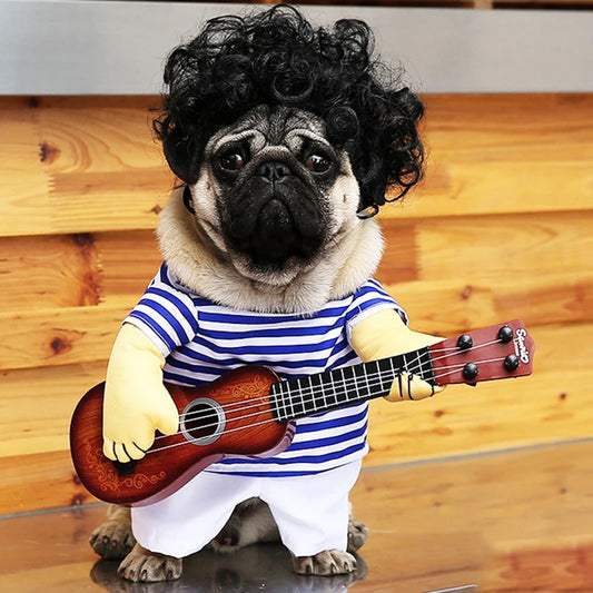 Cat Dog Guitar Costume