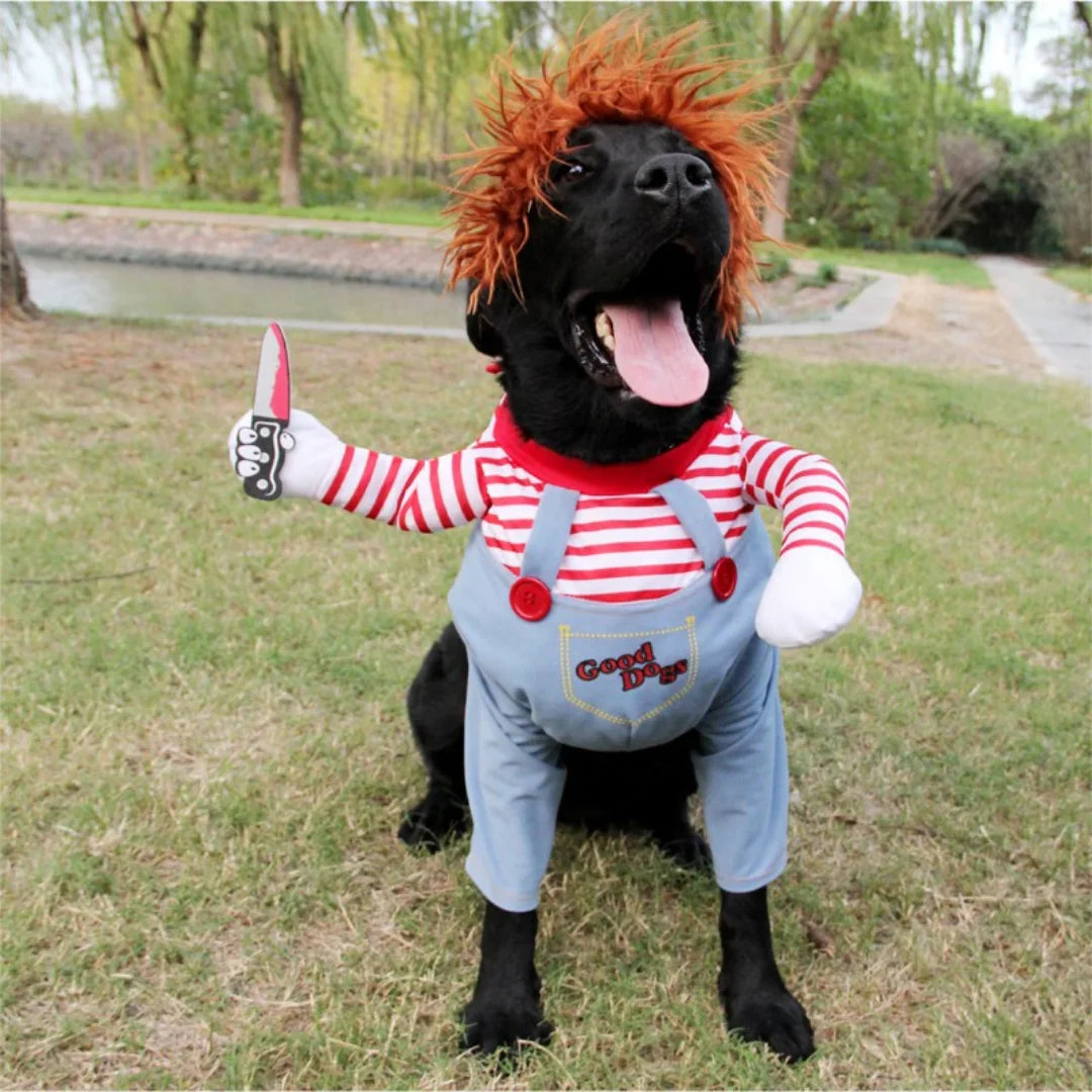 Dog Cat Chucky Costume