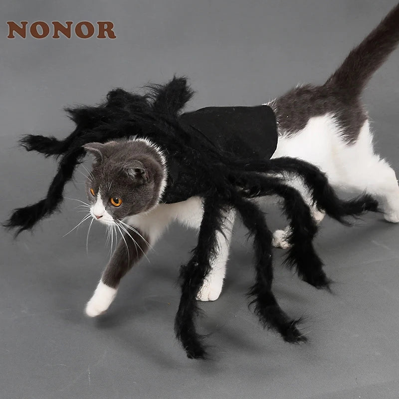 Cat Dog Spider Costume Halloween