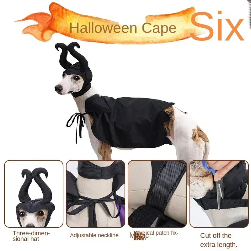 Cat Dog Maleficent Halloween Costume