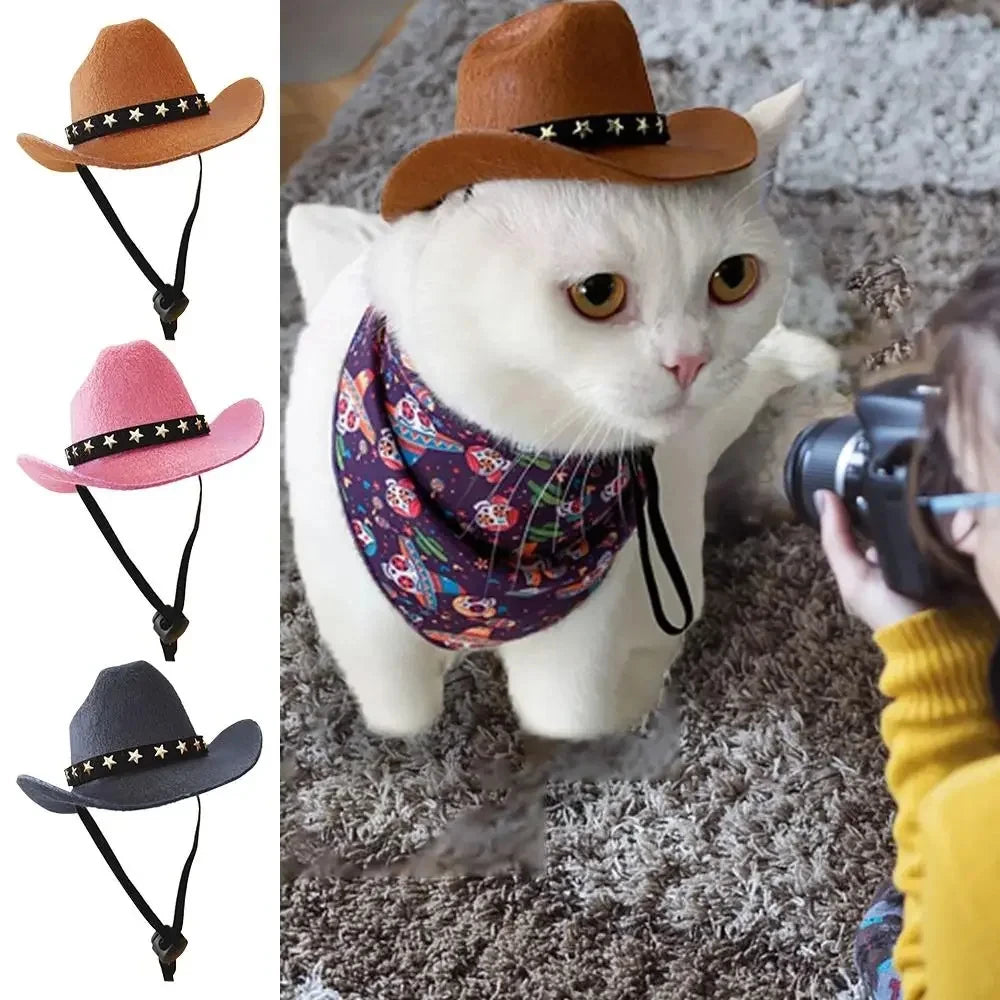 Cat Cowboy Hat Puppy