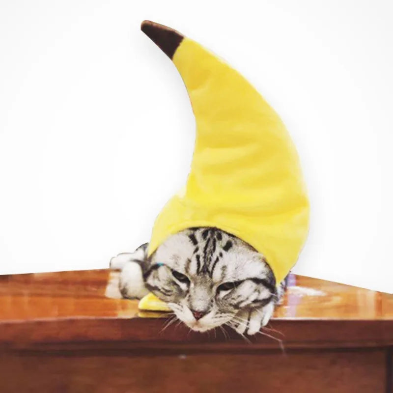 Cat Dog Banana Hat Costume