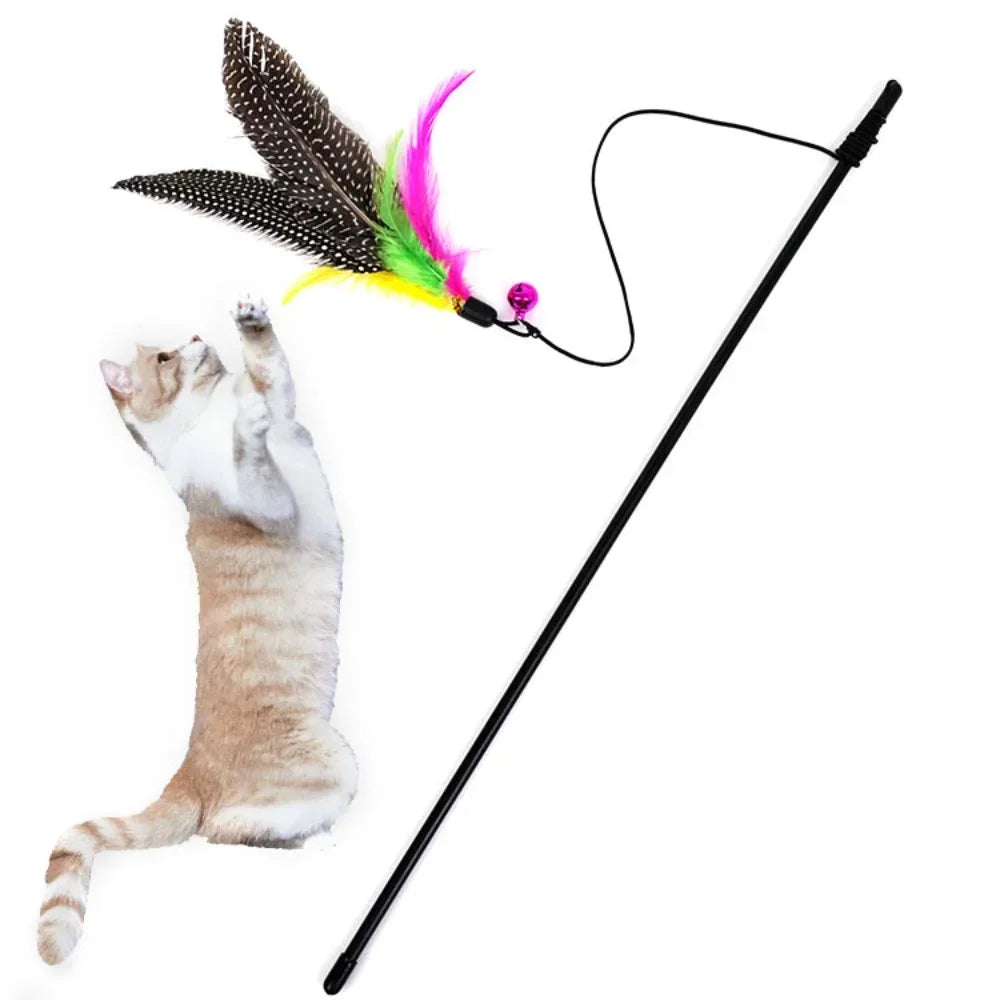 Cat Toy Teaser On Rod With String Feather Bell